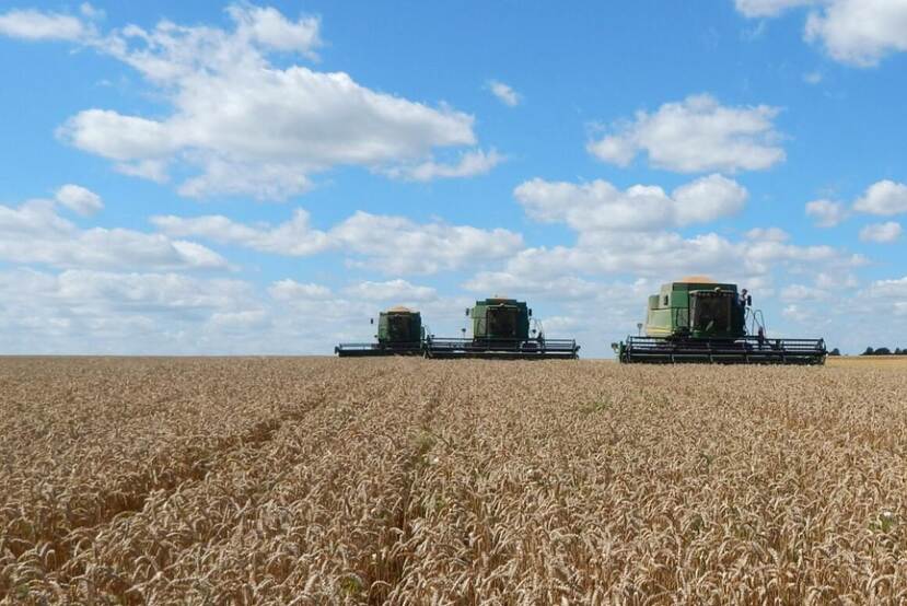 Grain harvest Bontrup Ukraine