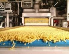 UA French Fries Factory
