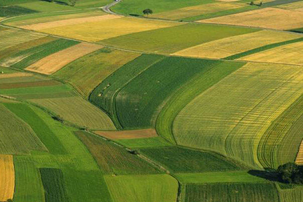 Farmland Romania