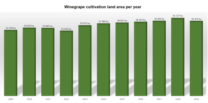 A chart of the total area changes in grape cultivation in Hungary in the past decade.