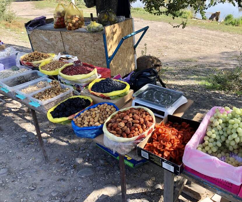 Lokale fruitproductie in Kirgizië