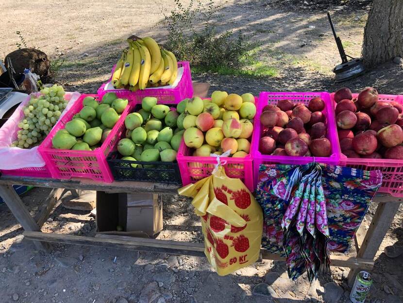 Lokale fruitproductie in Kirgizië