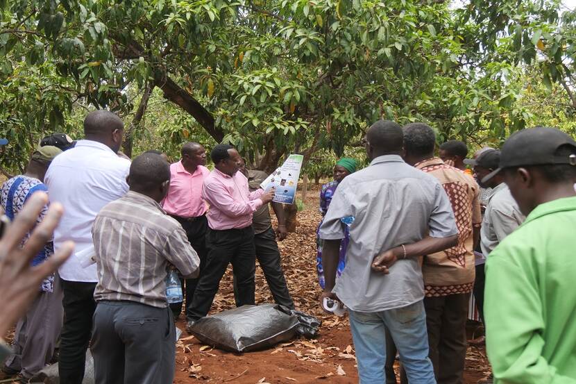 Embu Fruit Fly Management Training - image 9