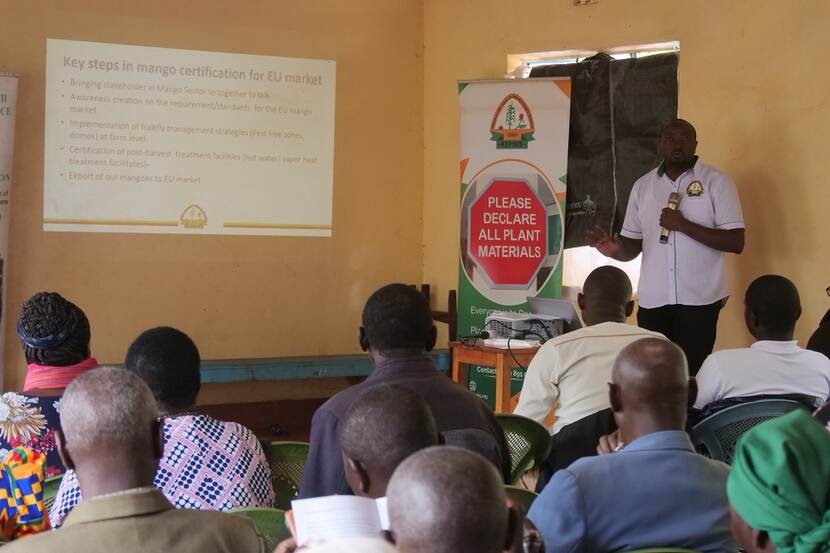 Embu Fruit Fly Management training - Kephis lecturer