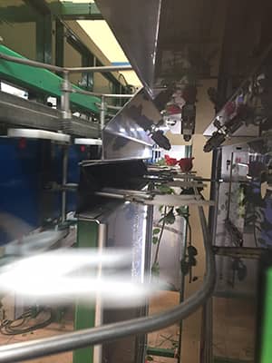 Door sprayen met Liquidseal blijven de rozen langer houdbaar