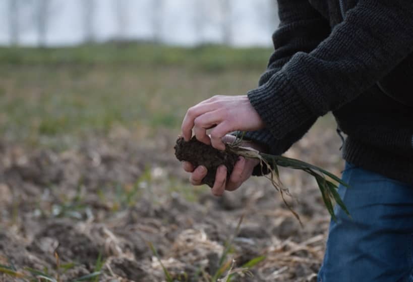 Webinar Koolstofboeren - foto 3