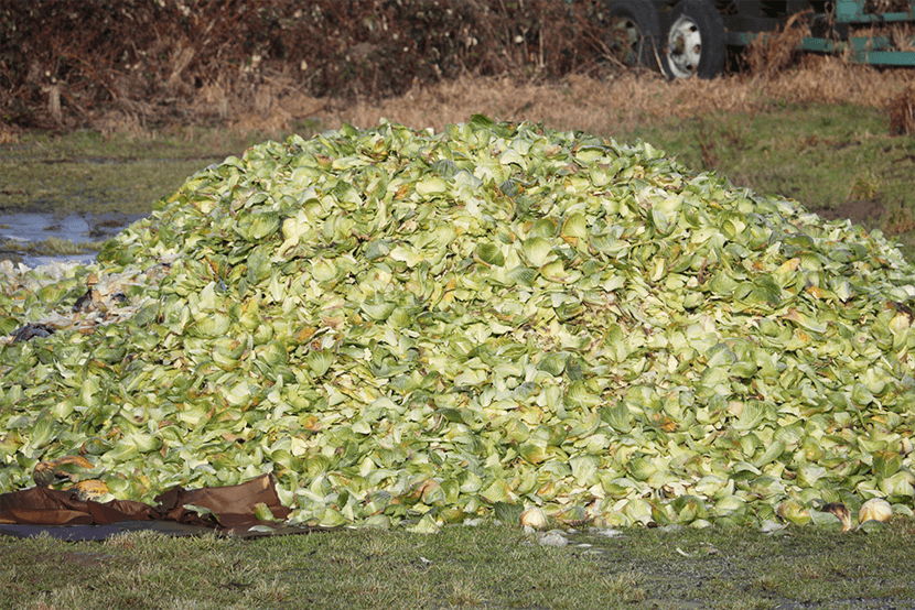 Voedselverspilling reststromen