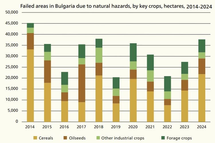 Graphic showing failed areas in Bulgaria due to natural hazards, by key crops, hectares, 2014-2024