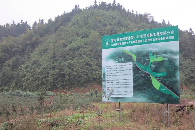 Herinrichtingsplan voor een verontreinigd gebied