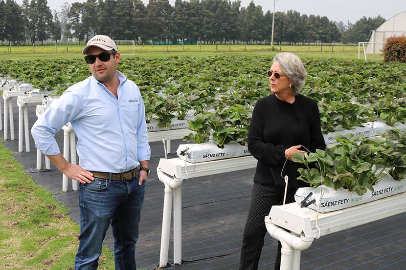 Op werkbezoek bij het Colombiaanse tuinbouwtoeleveringsbedrijf Saenz Fety in de savanne van Bogota.