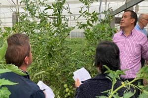 Hortifuturo