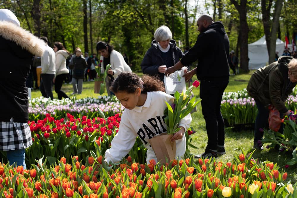 tulpen Paris