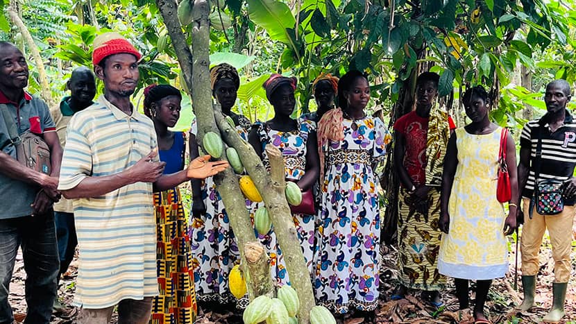 Nederlandse bedrijven kunnen zeker een bijdrage leveren aan de duurzame ontwikkeling van de tuinbouw en cacaosector