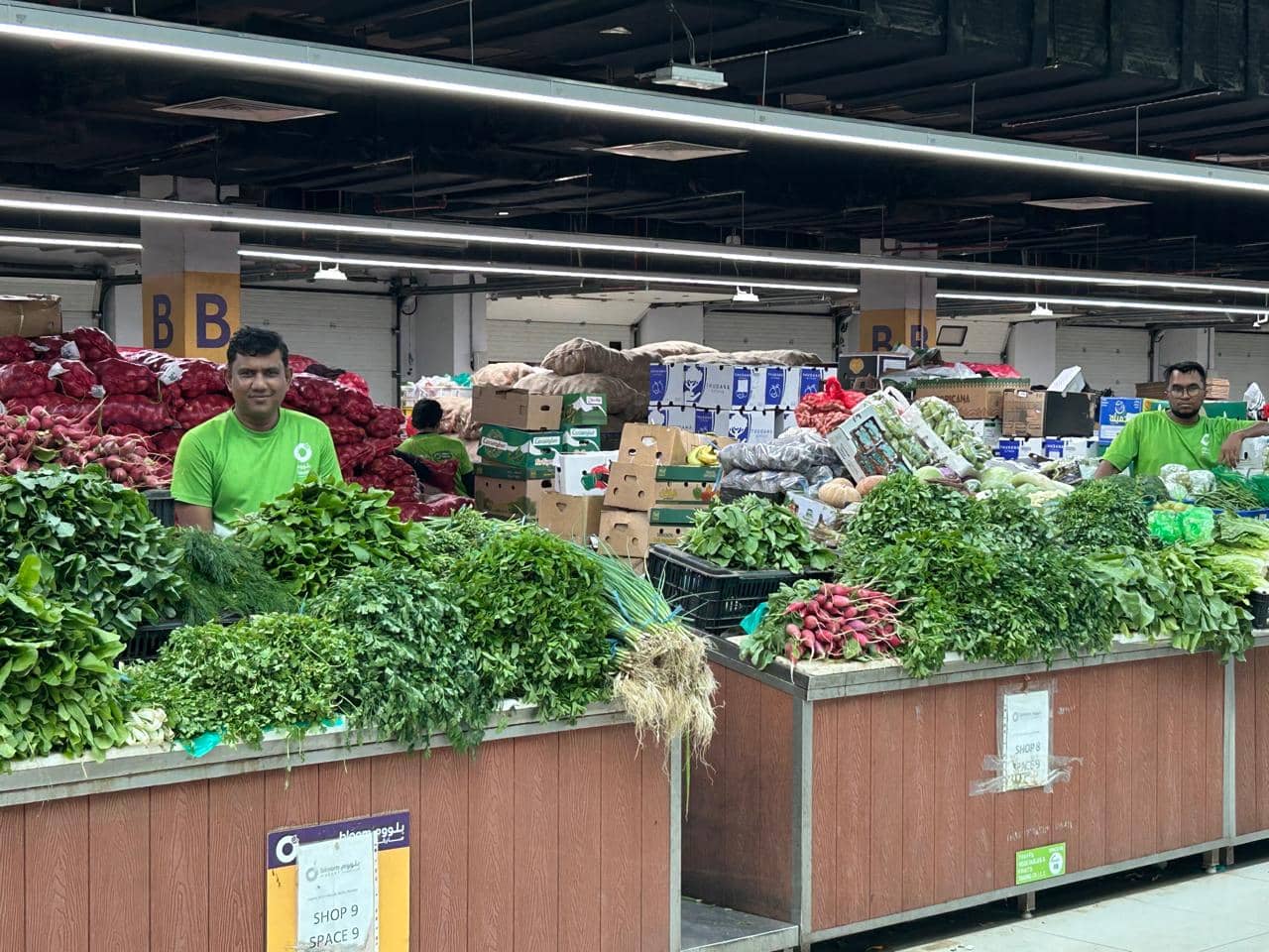 Vegetable packaging and storing