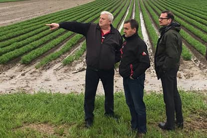 Bezoek aan worteltelers in Vojvodina (Servië), wortelteelt met Nederlands uitgangsmateriaal (2019).