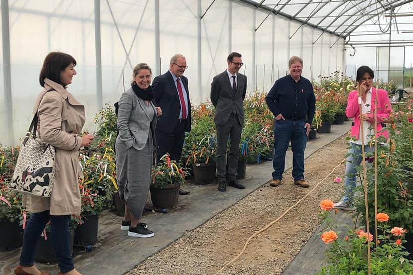Bezoek aan het Nederlandse rozenbedrijf PhenoGeno Roses in het Servische Vojvodina (2018)