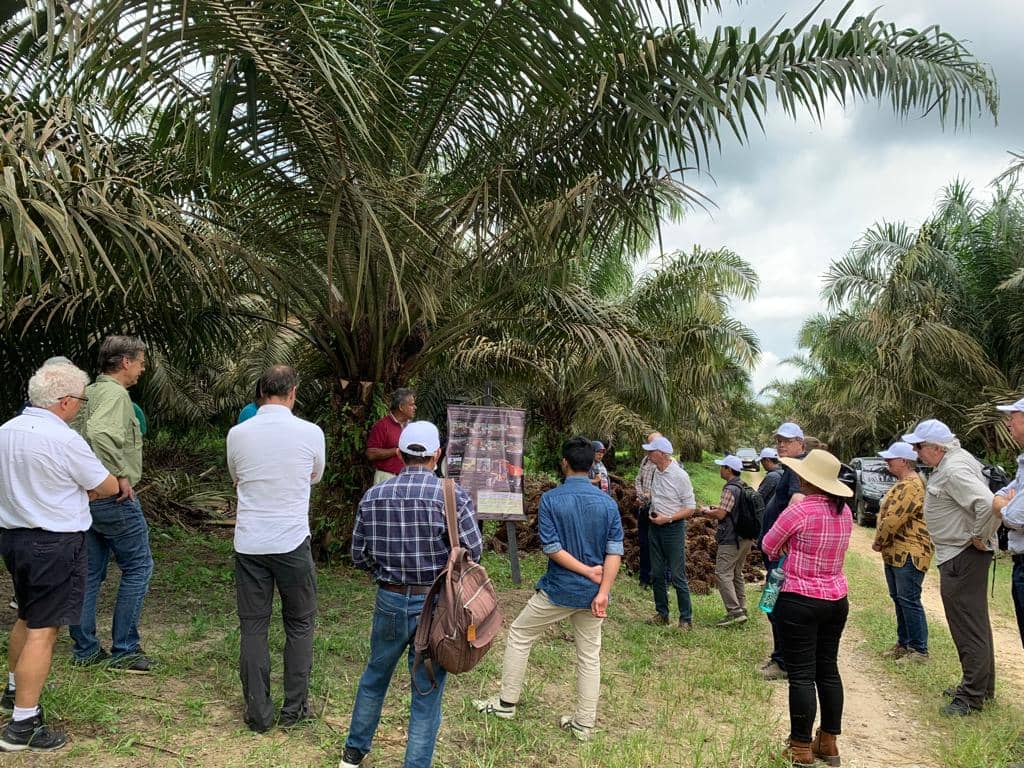Field Visit Sustainpalm 3
