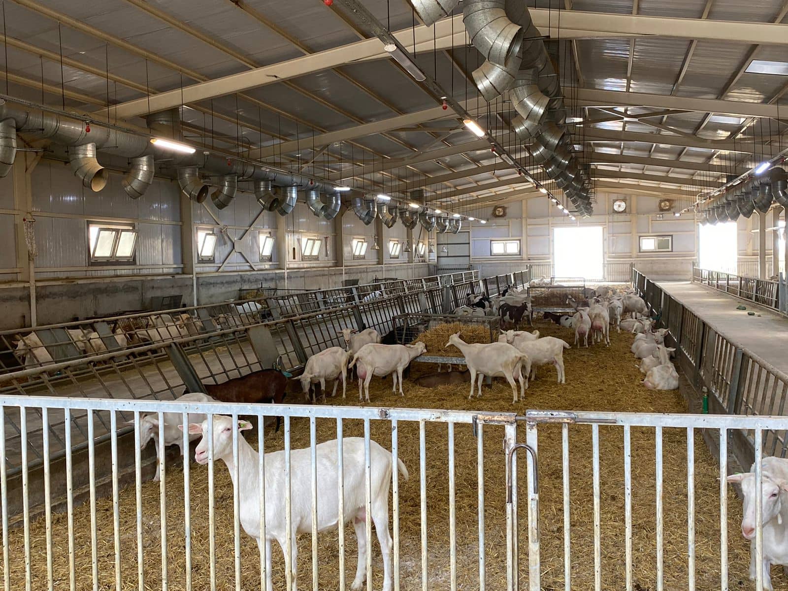 Zuivel-horti-missie Erbil