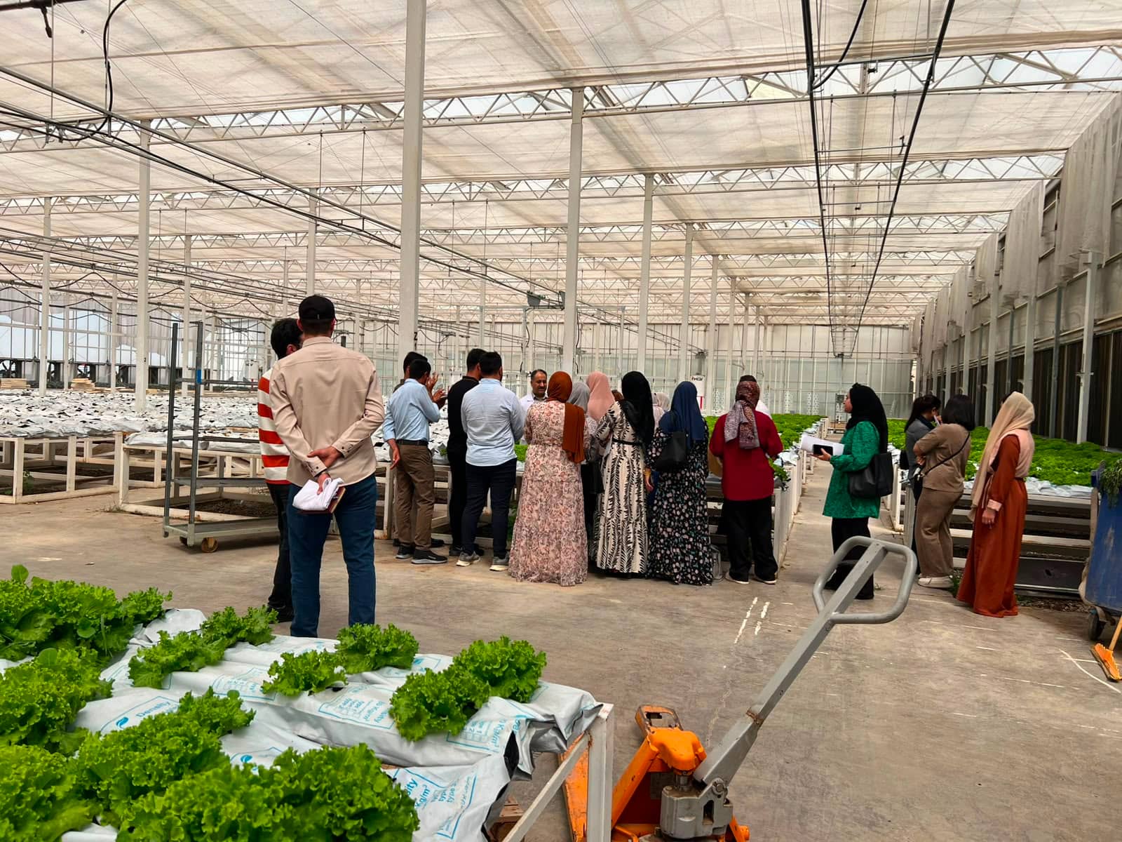 Group standing in greenhouse