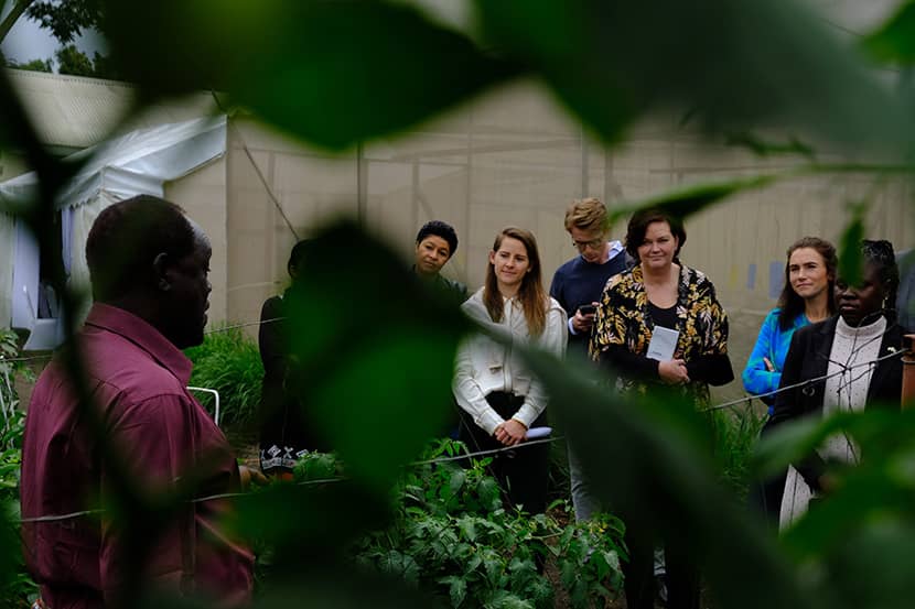 Bezoek aan lokale demovelden met delegatie in Arusha