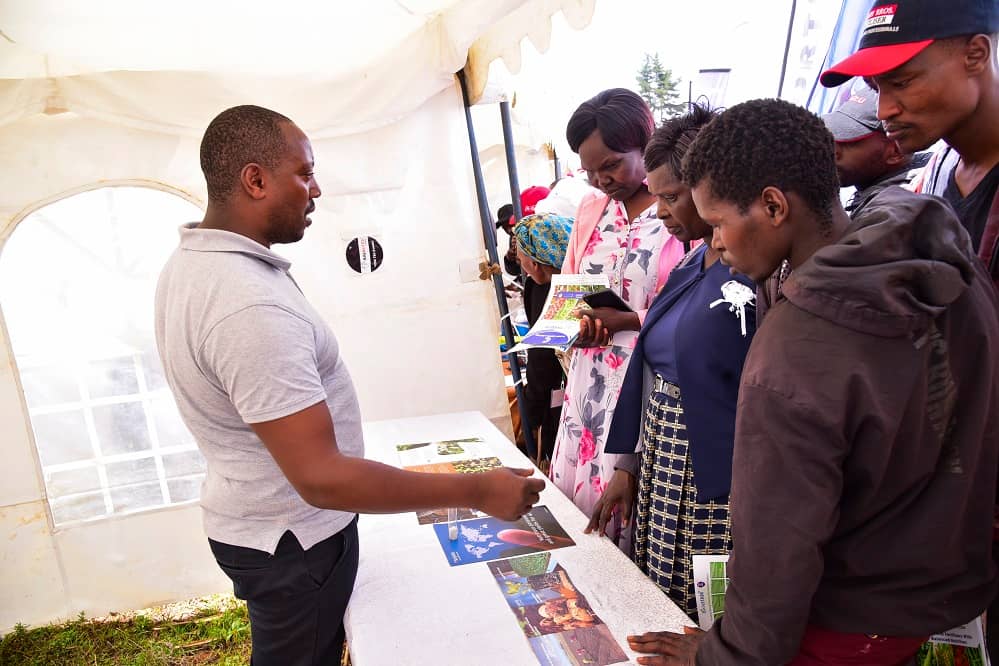 IDP 2025 - image Solynta