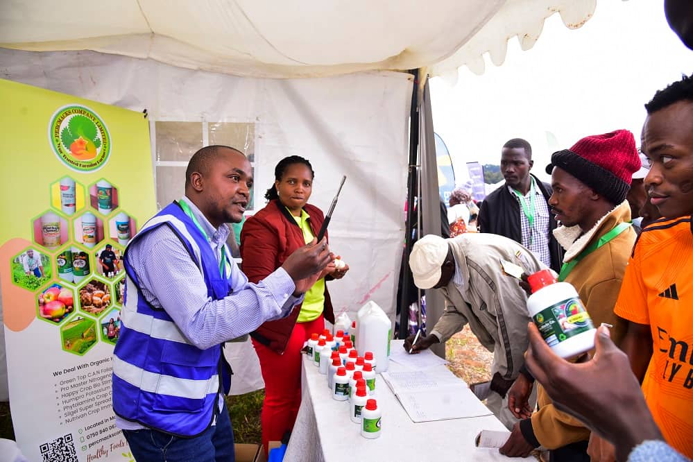 IDP 2025 - image Percmacks