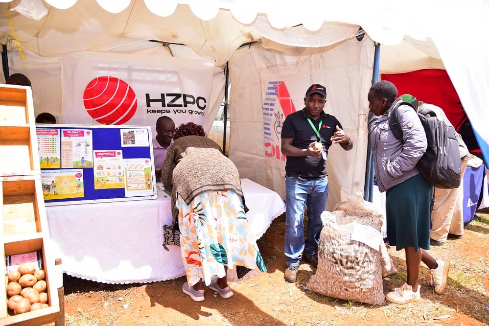 IDP 2025 - image HZPC