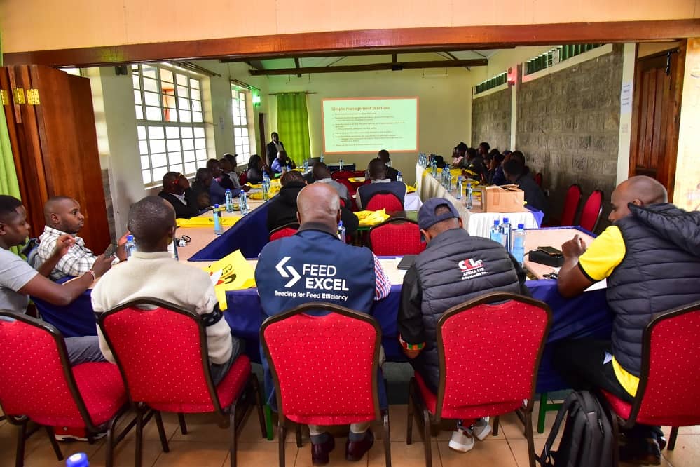 DVS AI Insemination Workshop - image 4