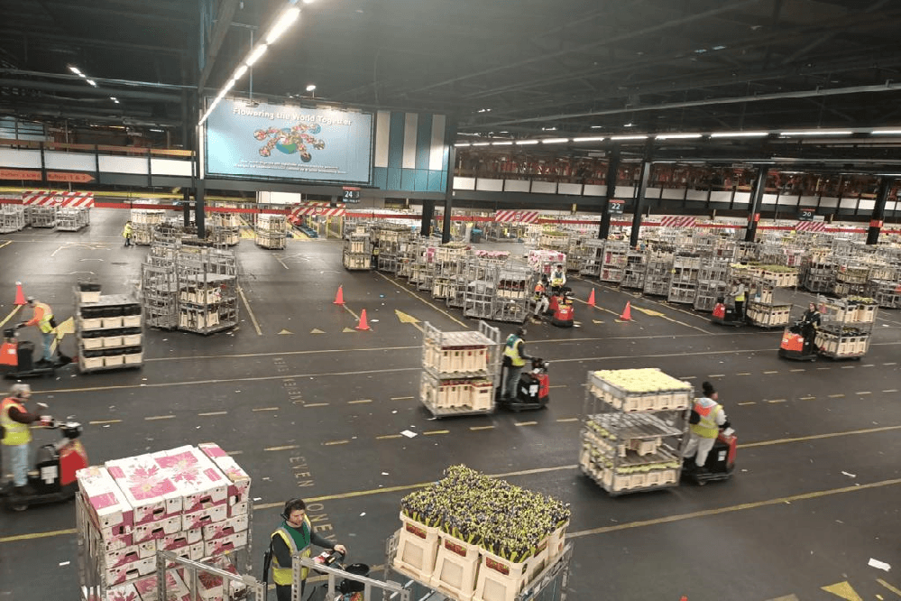 Observation of the handling procedure on the floor of auction