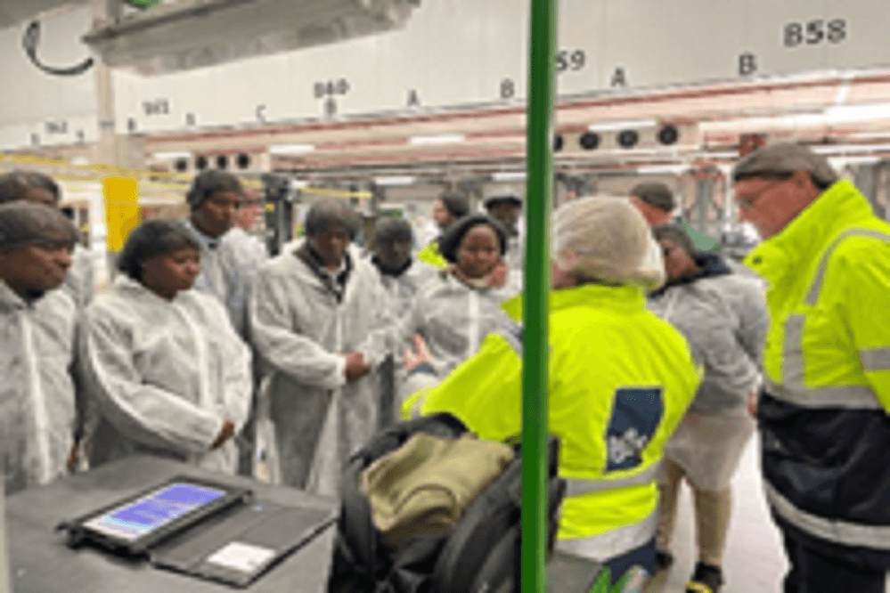 inspection of products using ephyto