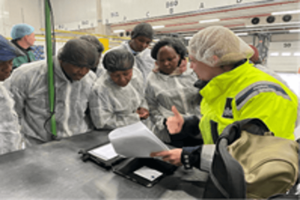 Inspection of products using ephyto