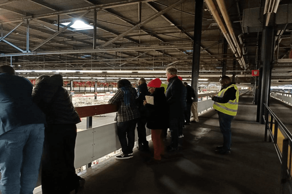 Observation of the handling procedure on the floor of auction