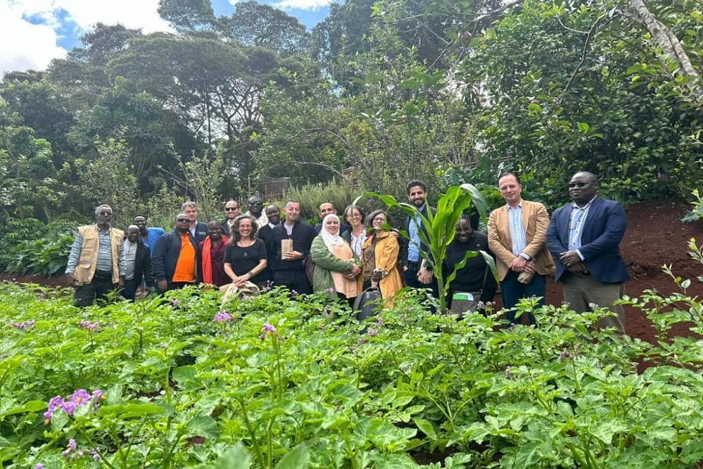 AA Regional Conference 2023 - image 11