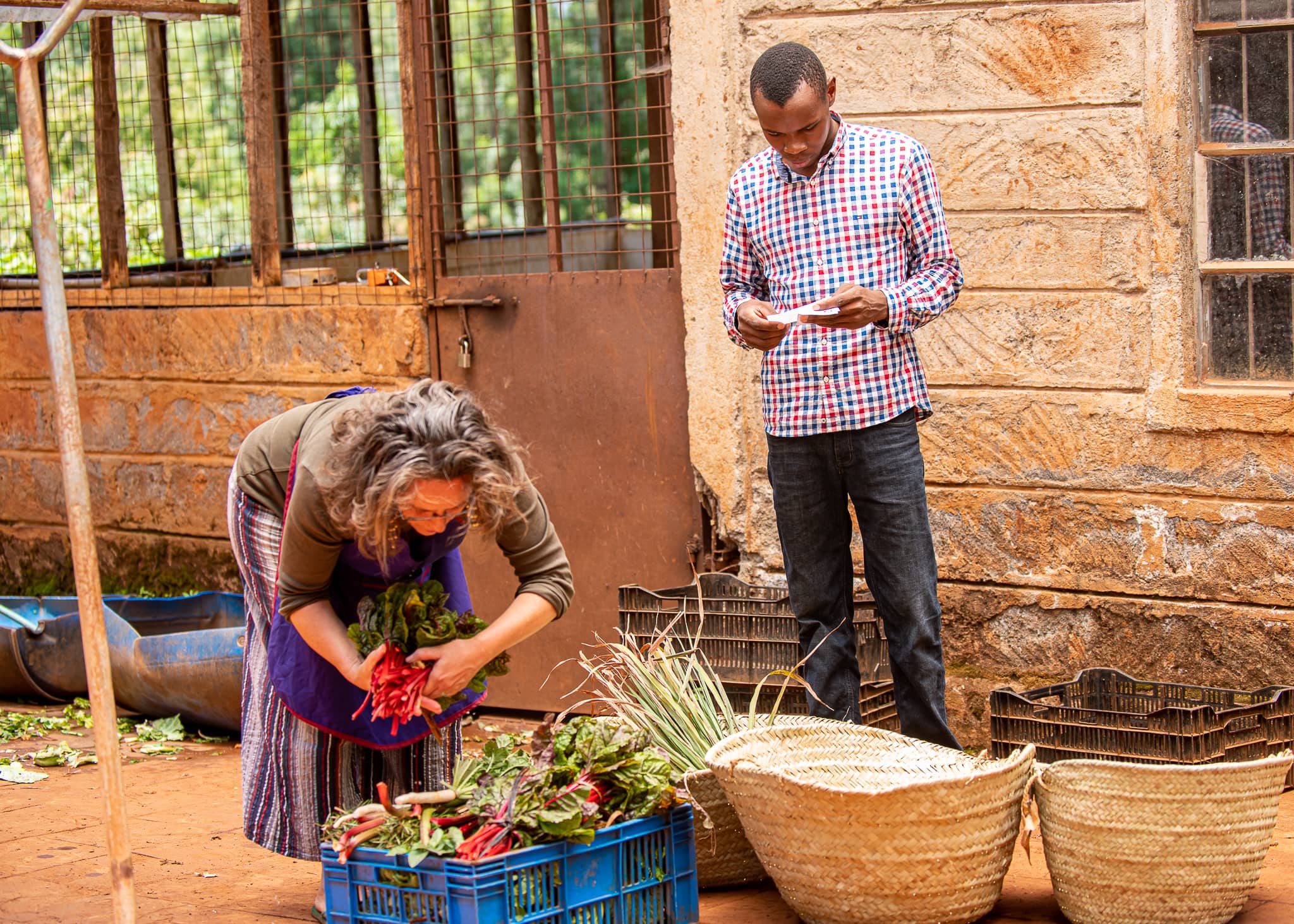 Mlango Farm - Els packing vegetables