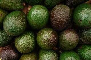 Avocado