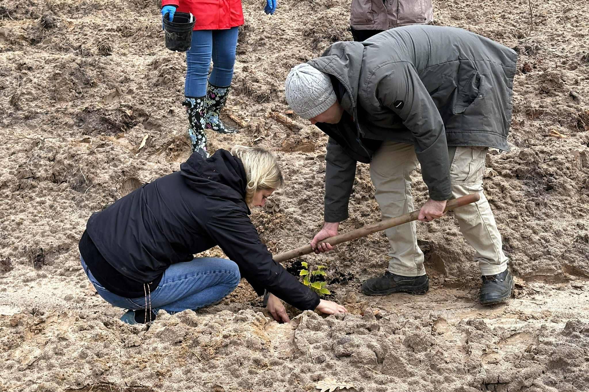 Tree planting in Beremytske, Ukraine