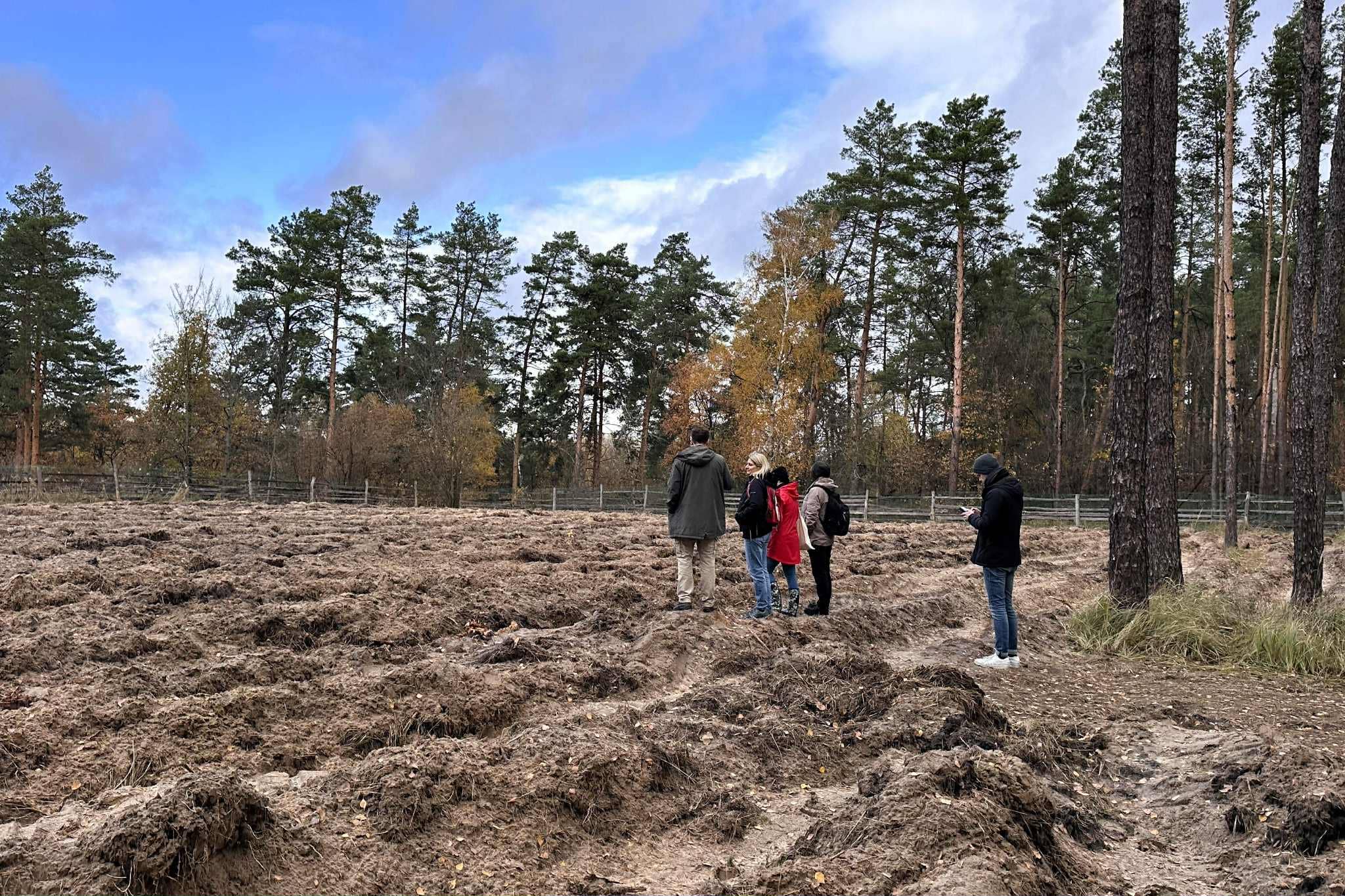 Tree planting in Beremytske, Ukraine