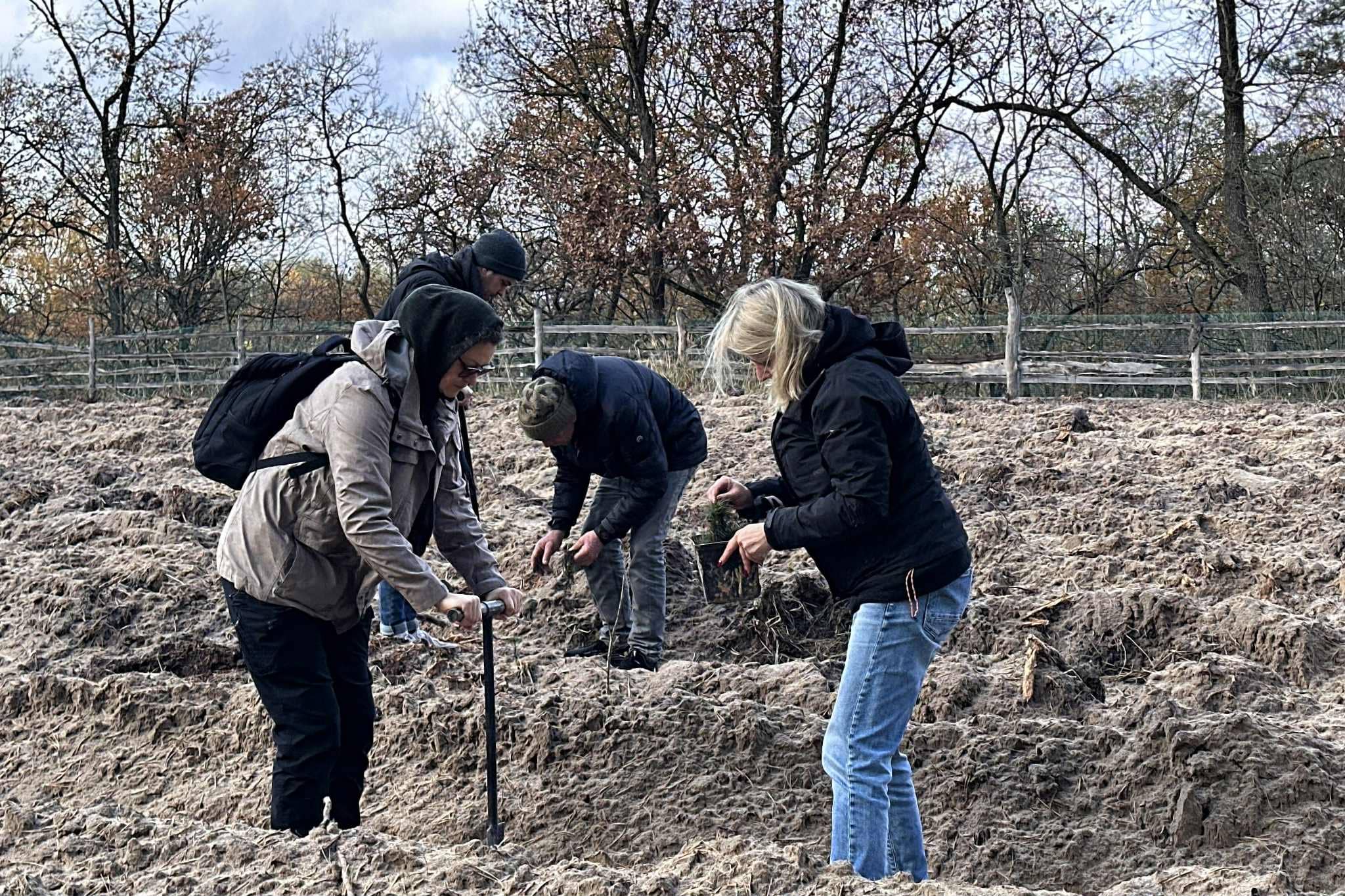 Tree planting Beremytske, Ukraine