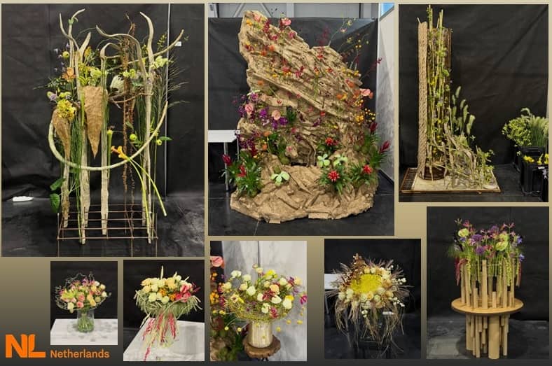 Works of the finalists