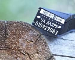 Wood in Ukraine