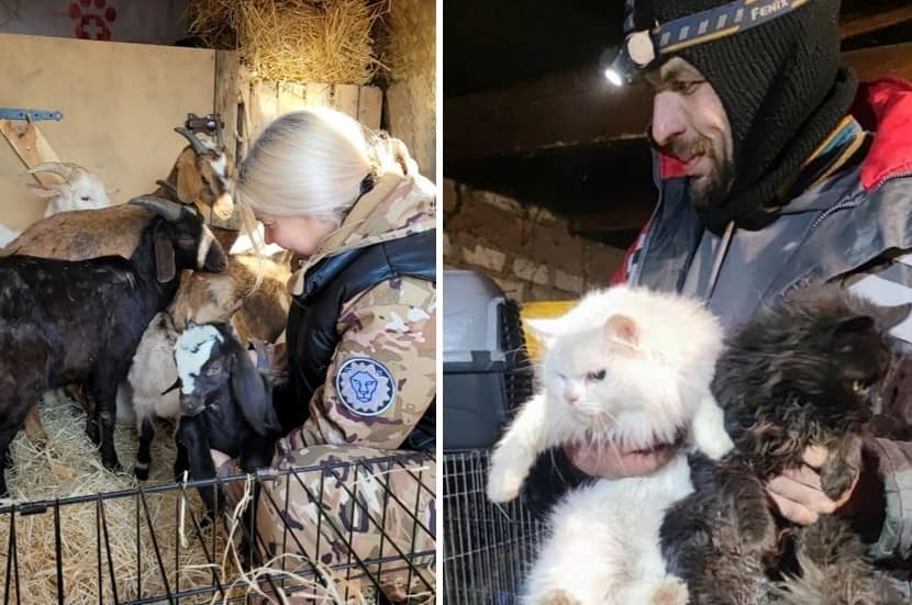 Helping animals at the front line