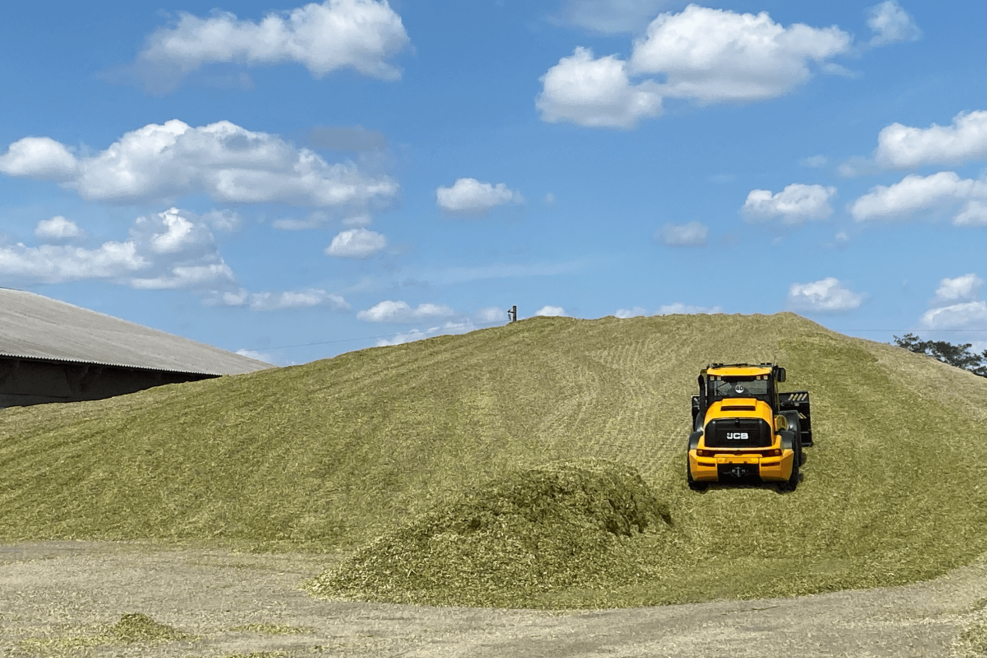 Silage preparation