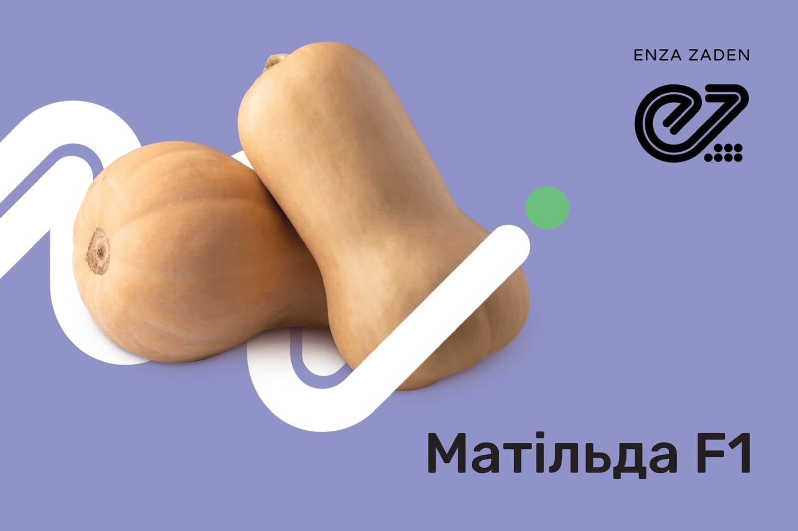 Enza Zaden Matilda