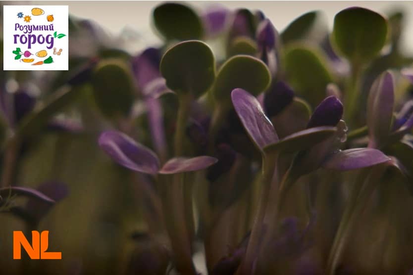 Smart Garden Micto Green