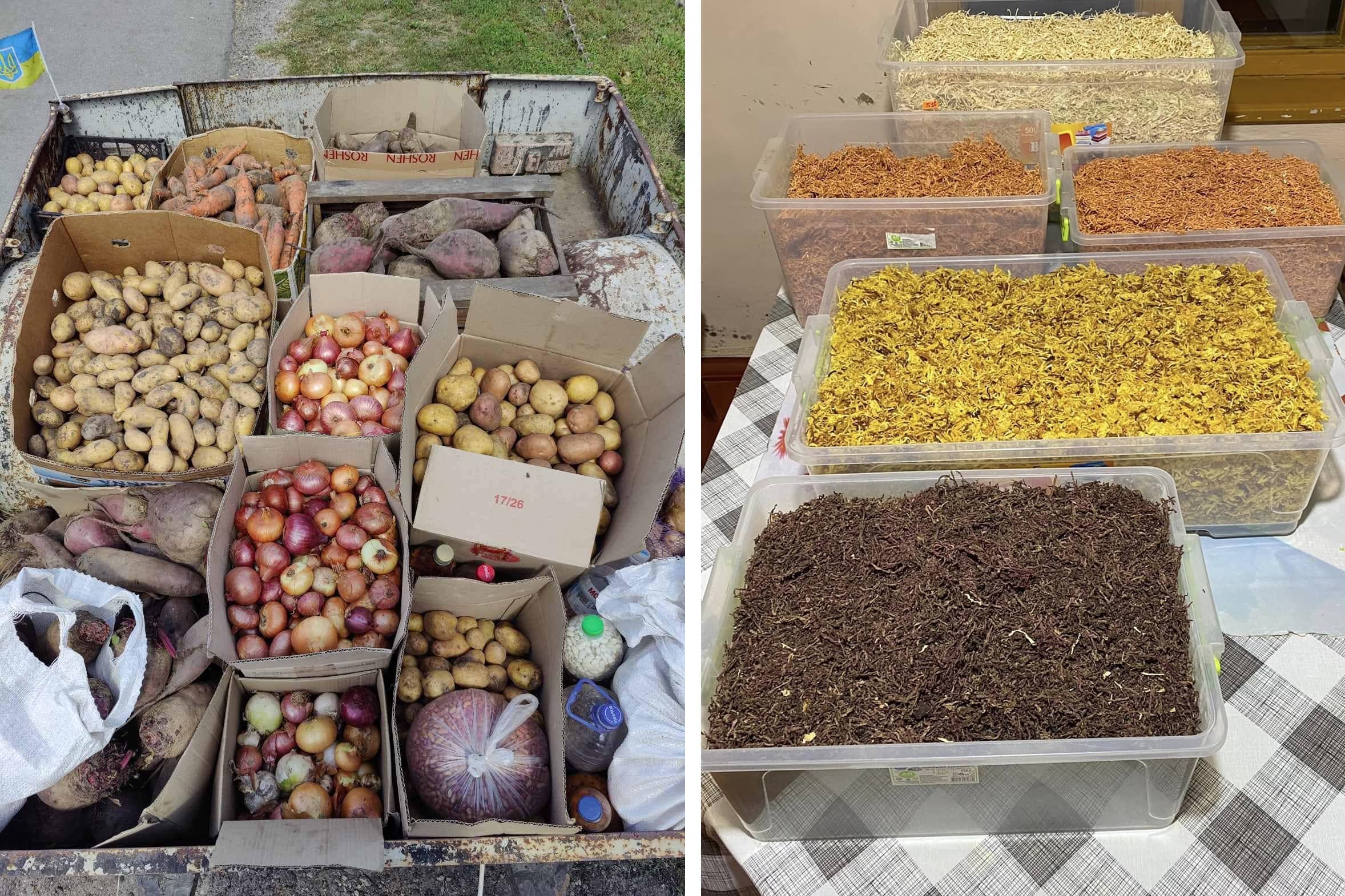 dry vegetables Craftolyky