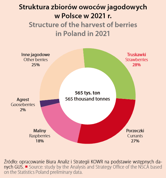 strawberry statistics 2022