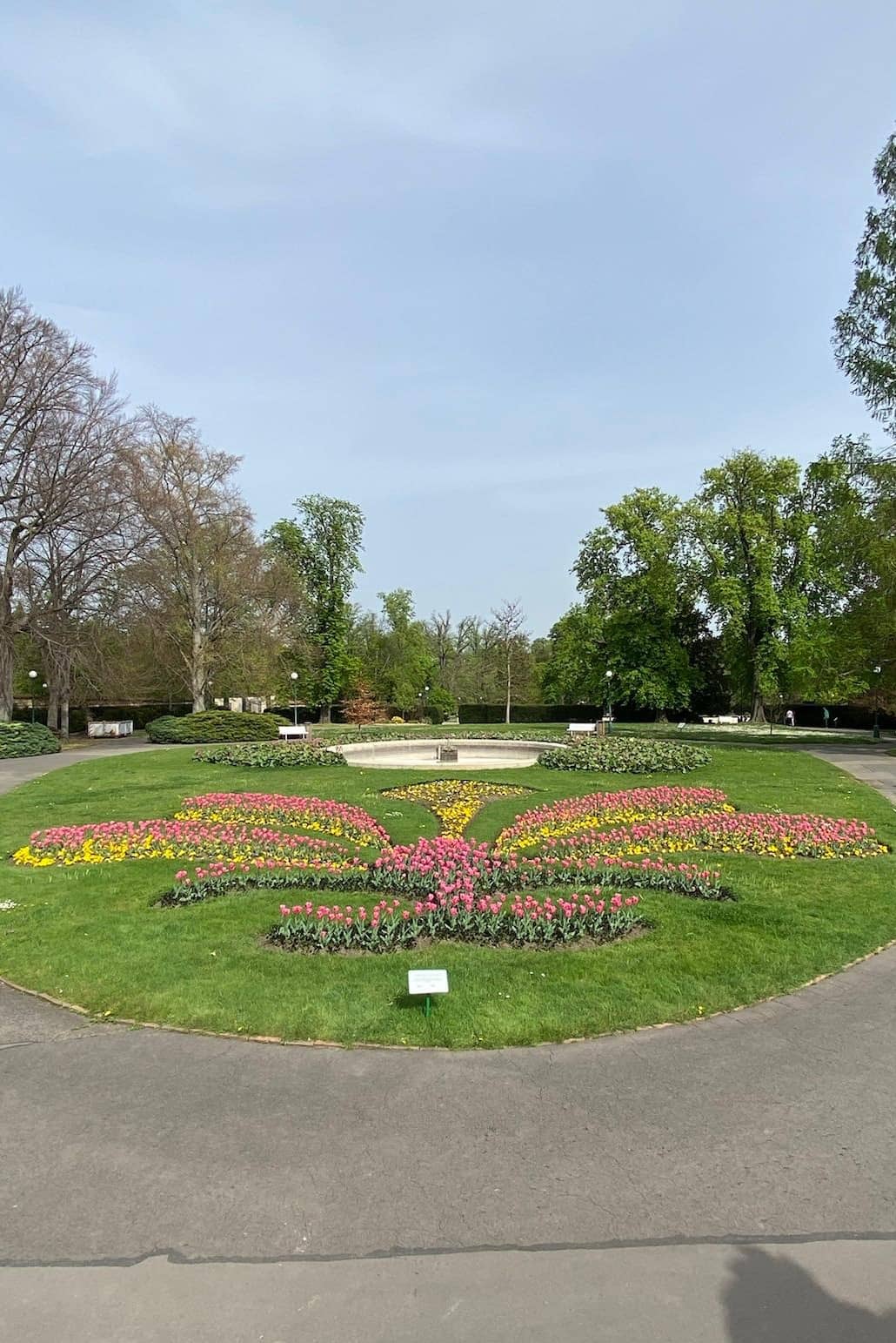 garden of the Prague Castle with tulip perk