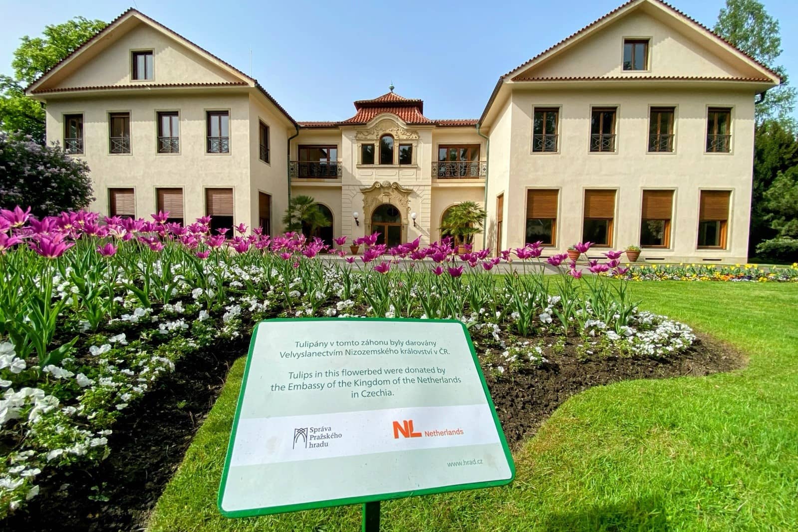 garden of the Prague Castle with tulip perk