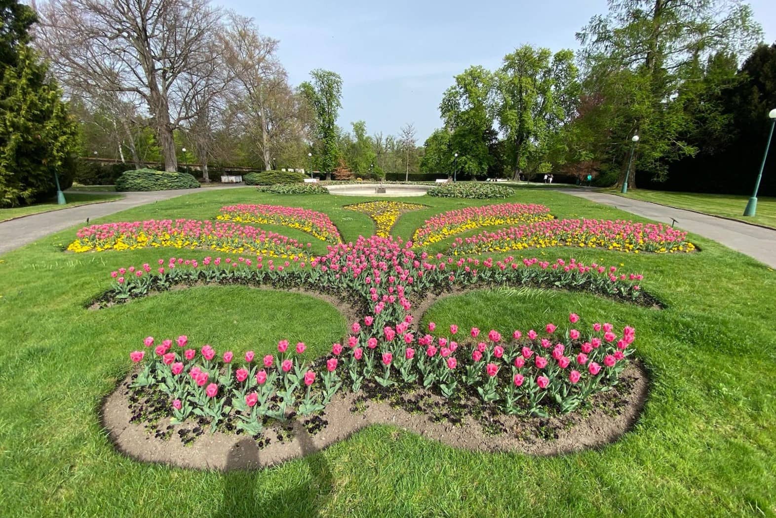 garden of the Prague Castle with tulip perk