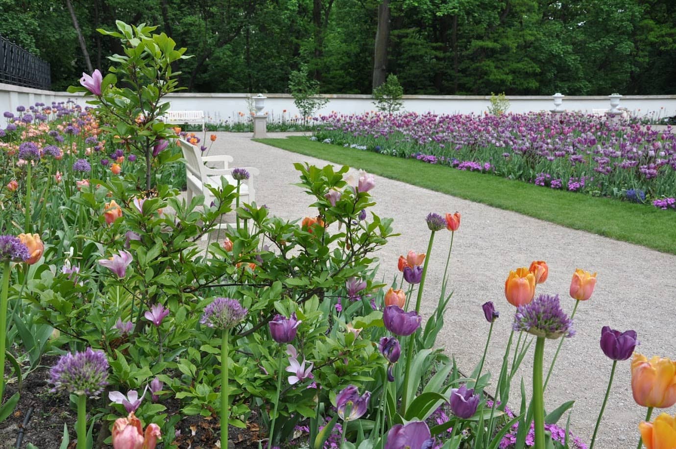 Dutch Garden in Warsaw